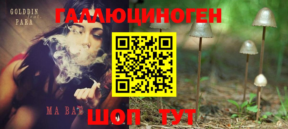 Галлюциногенные грибы Psilocybine cubensis Кингисепп