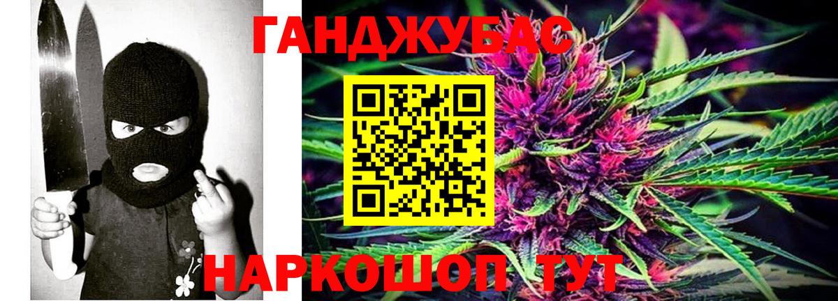 Марихуана планчик  Шишки марихуана сатива  Кингисепп  Вход с VPN 