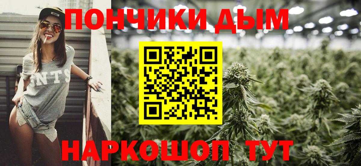 Марихуана сатива Кингисепп